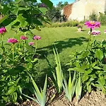 Grain D'orge Et Cornouiller Holiday home Bulson