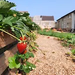 Grain D'orge Et Cornouiller *