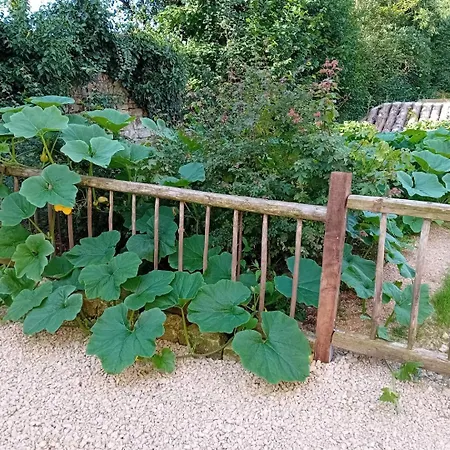 Grain D'orge Et Cornouiller