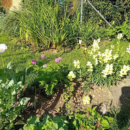 Grain D'orge Et Cornouiller Σπίτι διακοπών Bulson