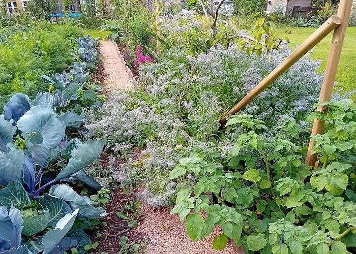 Casa vacanze Grain D'orge Et Cornouiller *