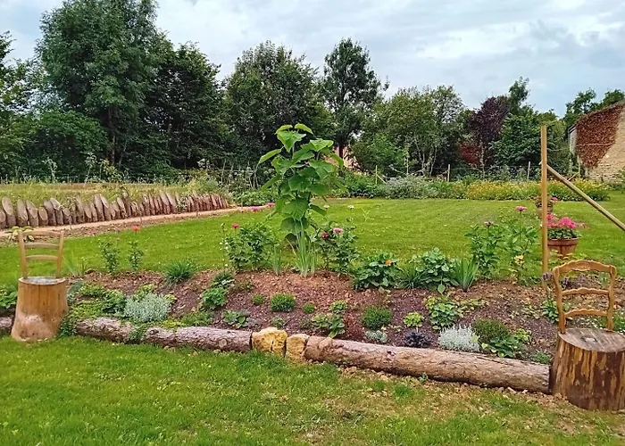 Grain D'orge Et Cornouiller Bulson