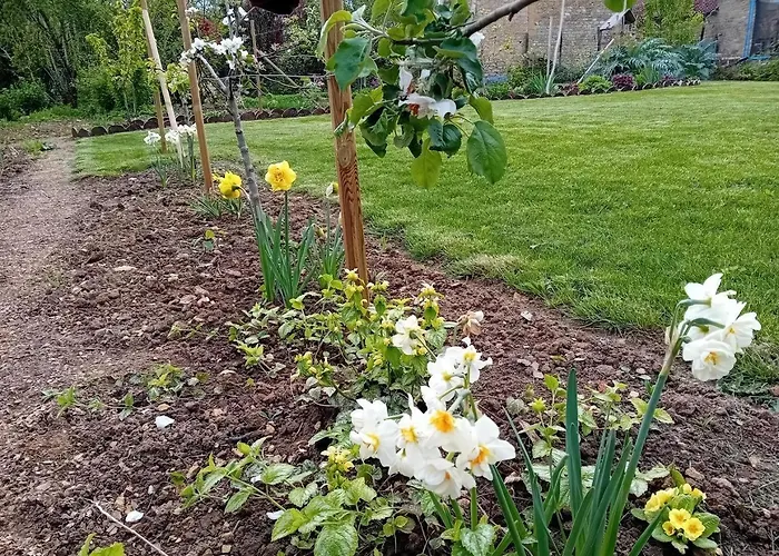 Casa vacanze Grain D'orge Et Cornouiller *