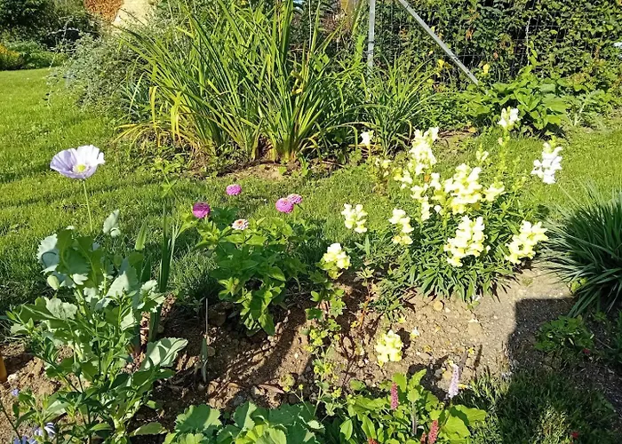 Grain D'orge Et Cornouiller Casa vacanze Bulson